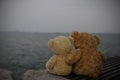 Two brown teddy bears so cute sitting on wooden chair looking to the sea. Royalty Free Stock Photo