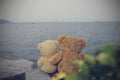 Two brown teddy bears so cute sitting on wooden chair looking to the sea. Royalty Free Stock Photo