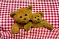 Two brown teddy bears lying in checkered bed.