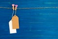 Blank paper price tags or labels set and wooden pins decorated on hearts hanging on a rope on the blue wooden background. Royalty Free Stock Photo