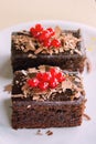 Two brownies with redberries on top, served in a plate on a wooden table