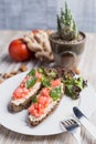 Two bruschettas, ginger, almonds, tomatoes and cactus Royalty Free Stock Photo