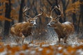 Two bucks fighting each other. Generative AI. Royalty Free Stock Photo