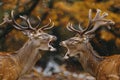 Two bucks fighting each other. Generative AI. Royalty Free Stock Photo