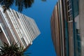 two buildings and a palm tree with clear sky Royalty Free Stock Photo