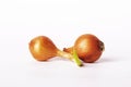 Two bulb onions Royalty Free Stock Photo