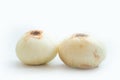 Two bulb onions Royalty Free Stock Photo