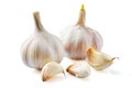 Two bulbs of garlic and cloves Royalty Free Stock Photo