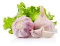 Two bulbs of garlic with pieces and green lettuce isolated on white background Royalty Free Stock Photo