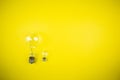 Two bulbs - large and small Royalty Free Stock Photo