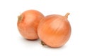 Two bulbs of onions Royalty Free Stock Photo
