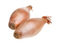 Two bulbs of shallot onion close-up isolated Royalty Free Stock Photo
