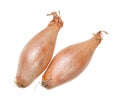 Two bulbs of shallot onion isolated on white Royalty Free Stock Photo