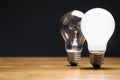 Two Bulbs Royalty Free Stock Photo