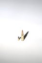 Two bullets of very different calibers on white background Royalty Free Stock Photo