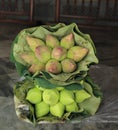 Two bunch, two color lotus bud flowers wrap with lotus leaf. Buddhism offerings