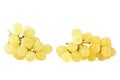 Two bunch of yellow grapes isolated on white background. Gold yellow grape Royalty Free Stock Photo