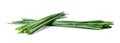 Two bunches of fresh chive onions on a white isolated background. Royalty Free Stock Photo