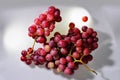 Two Bunches of fresh wine pink grapes falling on a white background big size high resolution Royalty Free Stock Photo