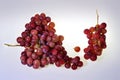 Two Bunches of fresh wine pink grapes falling on a white background big size high resolution Royalty Free Stock Photo