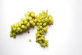 Two bunches of ripe white grape