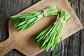 Fresh barleygrass on a table Royalty Free Stock Photo