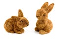 Two bunnies Royalty Free Stock Photo