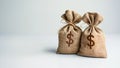 Two burlap money bags with dollar signs on a white background. Financial success or the stock market concept. Royalty Free Stock Photo