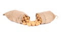 Two burlap sacks with potatoes. Royalty Free Stock Photo