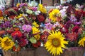 Two bushels of brightly colored wild flowers. Royalty Free Stock Photo