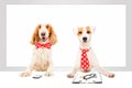 Two business dogs Royalty Free Stock Photo