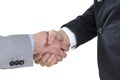 Two business men shaking hands Royalty Free Stock Photo