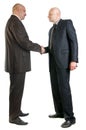 Two business person shaking hands