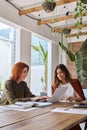 Two business women working using laptop at desk in green office. Vertical shot. Royalty Free Stock Photo