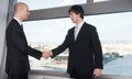 Two businessman making a handshake over a deal