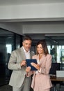 Two busy professional business executives using tablet standing in office.