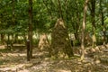 Cairn under shade trees woodland park