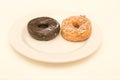 Two Cake Donuts on White Plate Royalty Free Stock Photo