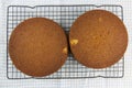 Two cakes cooling on a wire rack Royalty Free Stock Photo