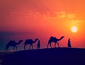 Two cameleers with camels in dunes of Thar deser Royalty Free Stock Photo