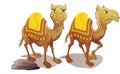 Two Camels, illustration Royalty Free Stock Photo