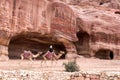 Two camels in ornate and colorful saddles with bedouins rider in front of red