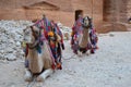 Two camels in Petra, Jordan Royalty Free Stock Photo