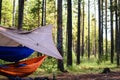 Two Camping Hammocks with a Rain Fly hanging at a campsite in Texas National Park