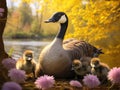 Canadian Geese with Goslings Made With Generative AI illustration