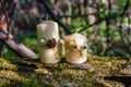 Two candles on an old log in the forest Royalty Free Stock Photo