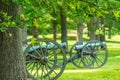 Two Cannons on a Battlefield Royalty Free Stock Photo