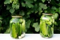 Two cans of canned cucumbers and garlic Royalty Free Stock Photo