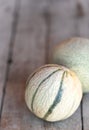 Two cantaloupe melons Royalty Free Stock Photo
