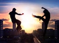 Two capoeira fighters